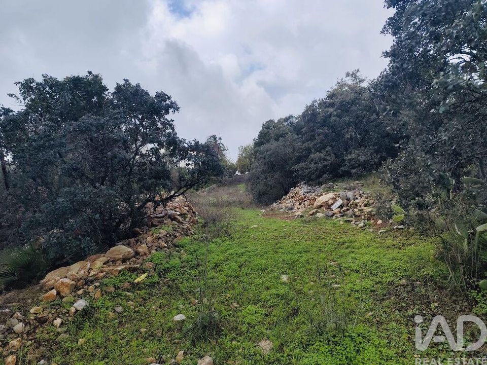 Helårsgrund i Sao Bras de Alportel, Faro - foto 1