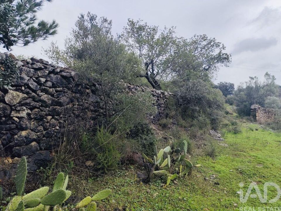Helårsgrund i Sao Bras de Alportel, Faro - foto 3