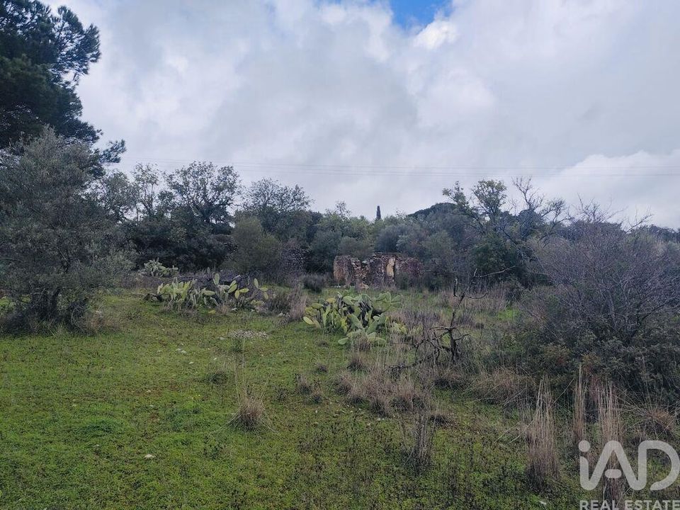 Helårsgrund i Sao Bras de Alportel, Faro - foto 4