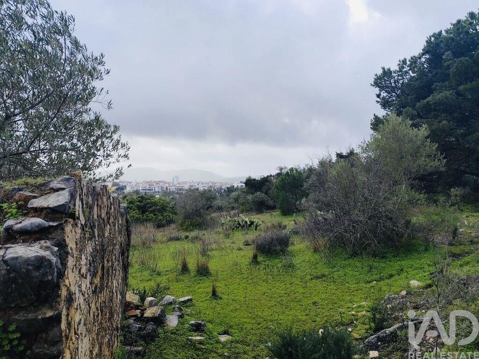 Helårsgrund i Sao Bras de Alportel, Faro - foto 5