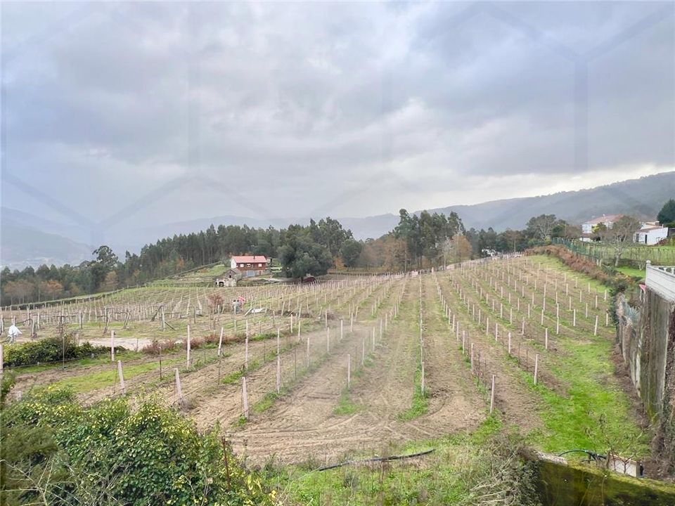 Villa i Melgaco, Viana do Castelo - foto 2