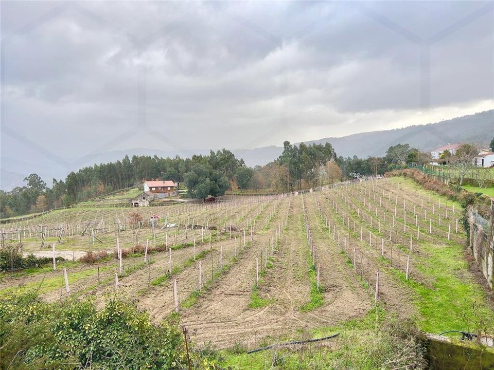 Villa i Melgaco, Viana do Castelo - foto 3