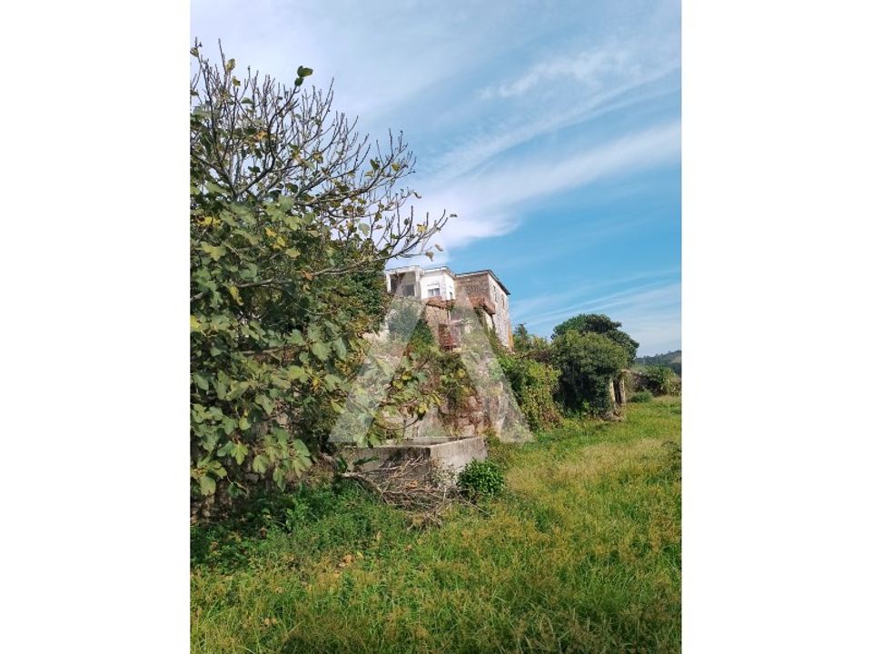 Farm i Barroselas, Viana do Castelo - foto 3
