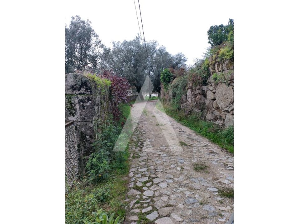 Helårsgrund i Barroselas, Viana do Castelo - foto 5