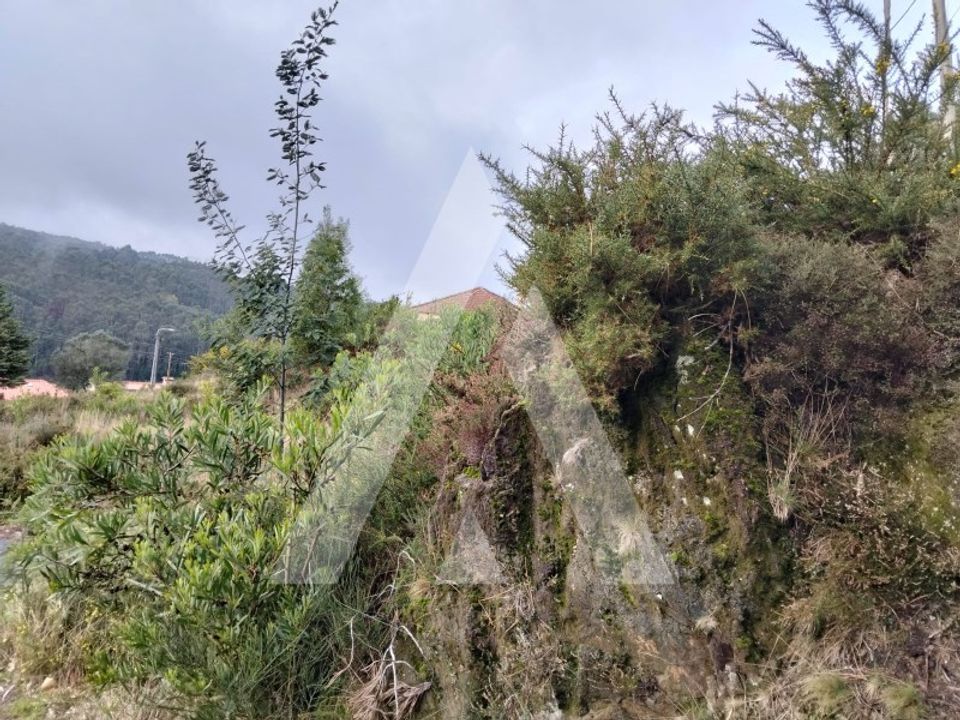 Helårsgrund i Outeiro, Viana do Castelo - foto 3