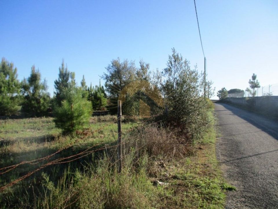 Terra a Vendas Novas, Evora - foto 1
