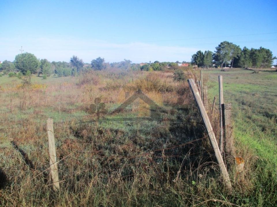 Terra a Vendas Novas, Evora - foto 3
