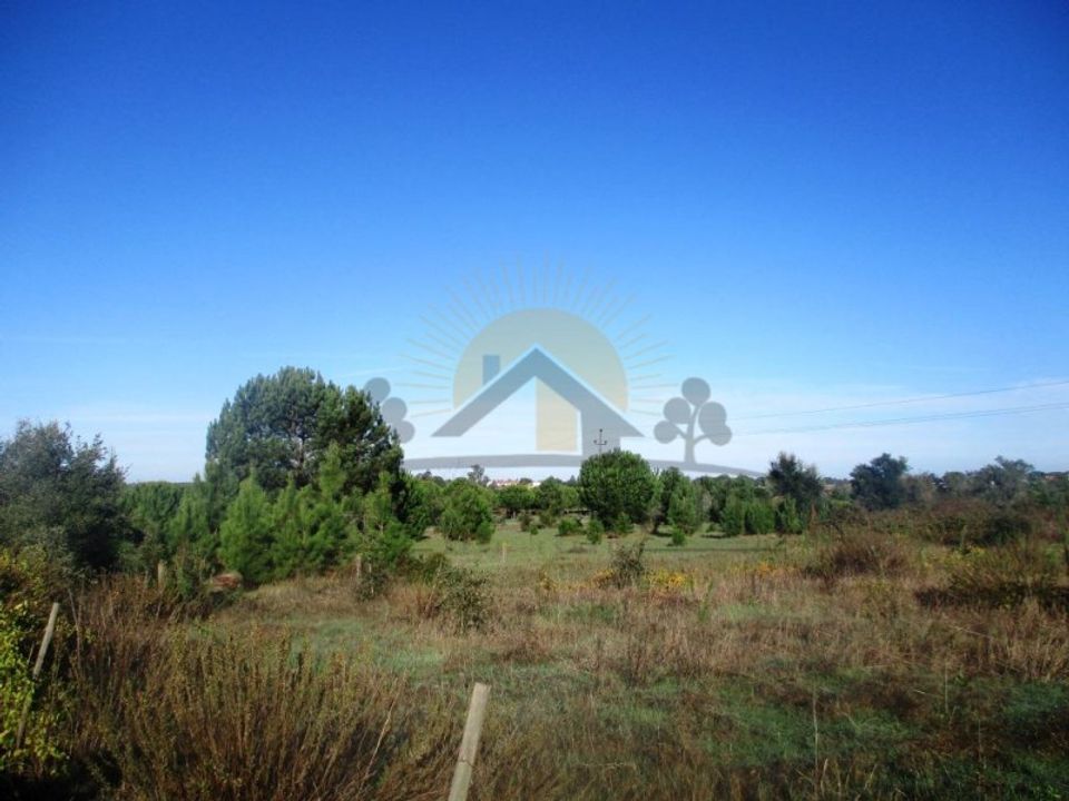 Terra a Vendas Novas, Evora - foto 4