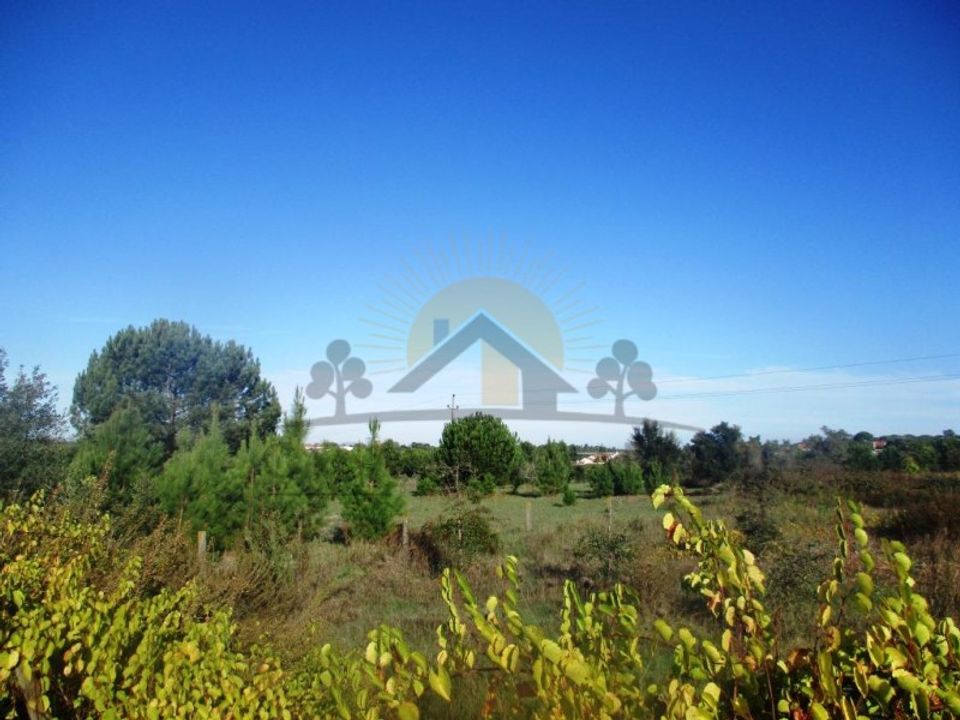 Terra a Vendas Novas, Evora - foto 5