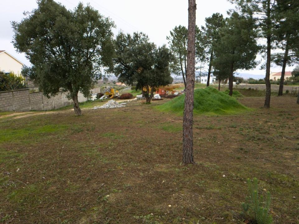 Helårsgrund i Fundao, Castelo Branco - foto 3