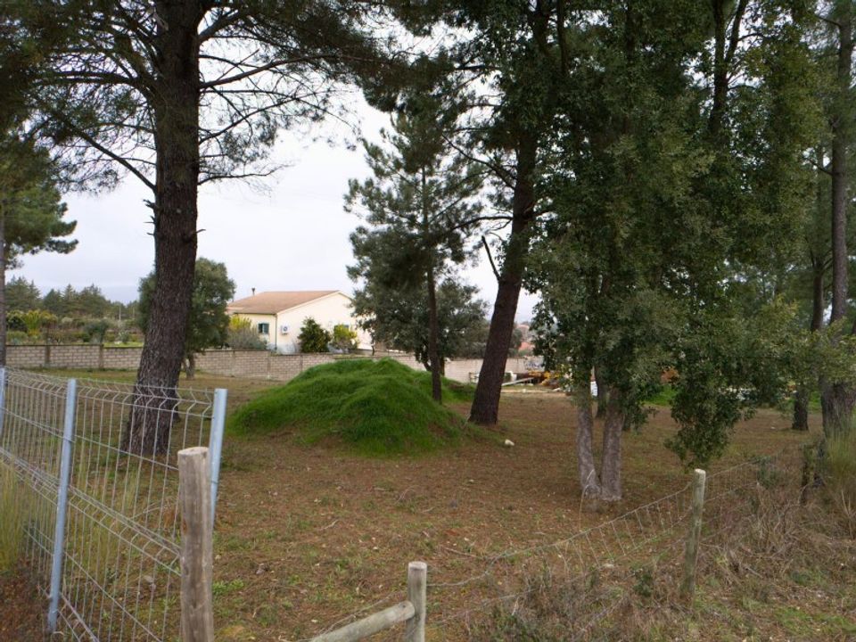 Helårsgrund i Fundao, Castelo Branco - foto 4