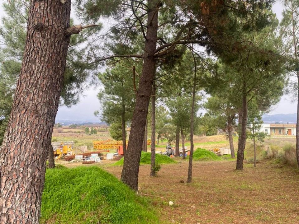 Helårsgrund i Fundao, Castelo Branco - foto 5