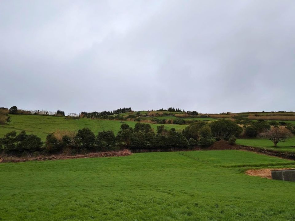 Terreno Flamengos, Faial - foto 1