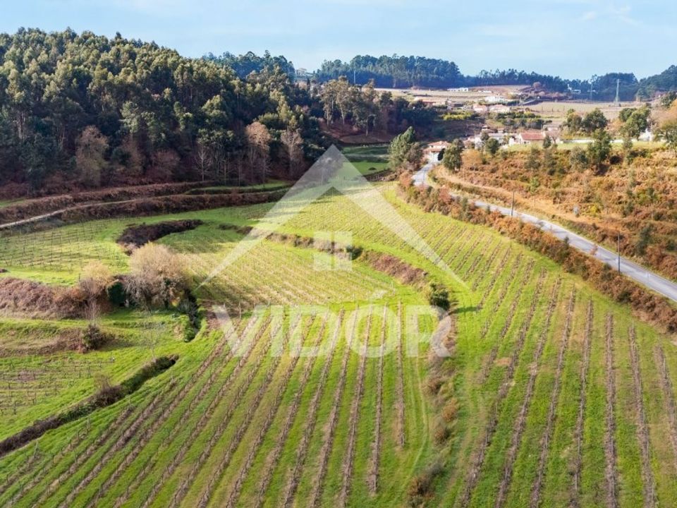 Farm i Amarante, Porto - foto 4