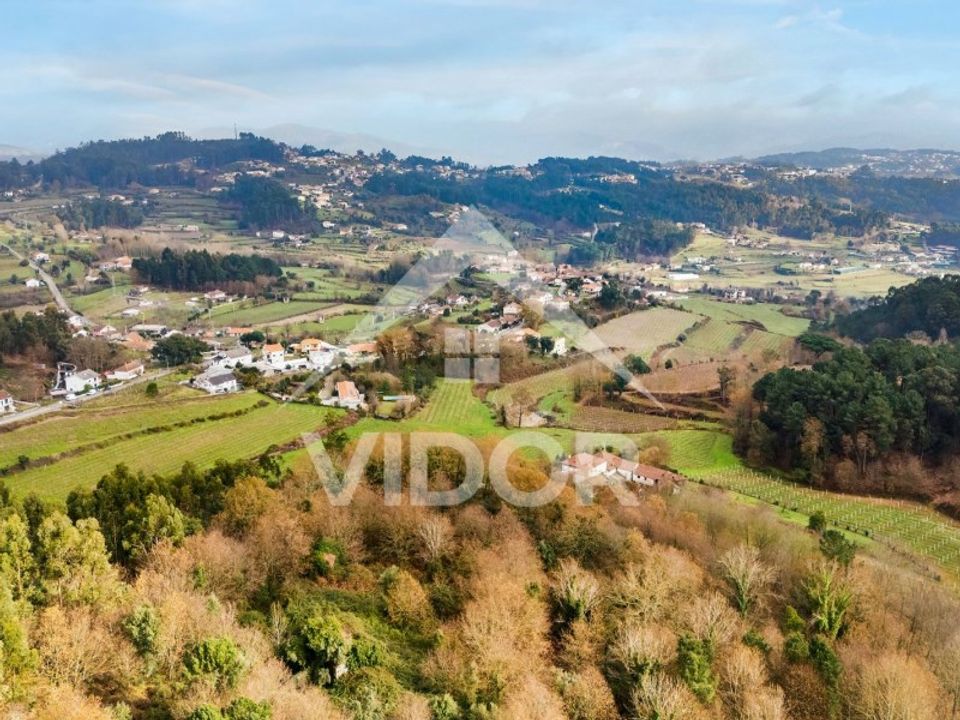 Farm i Amarante, Porto - foto 5