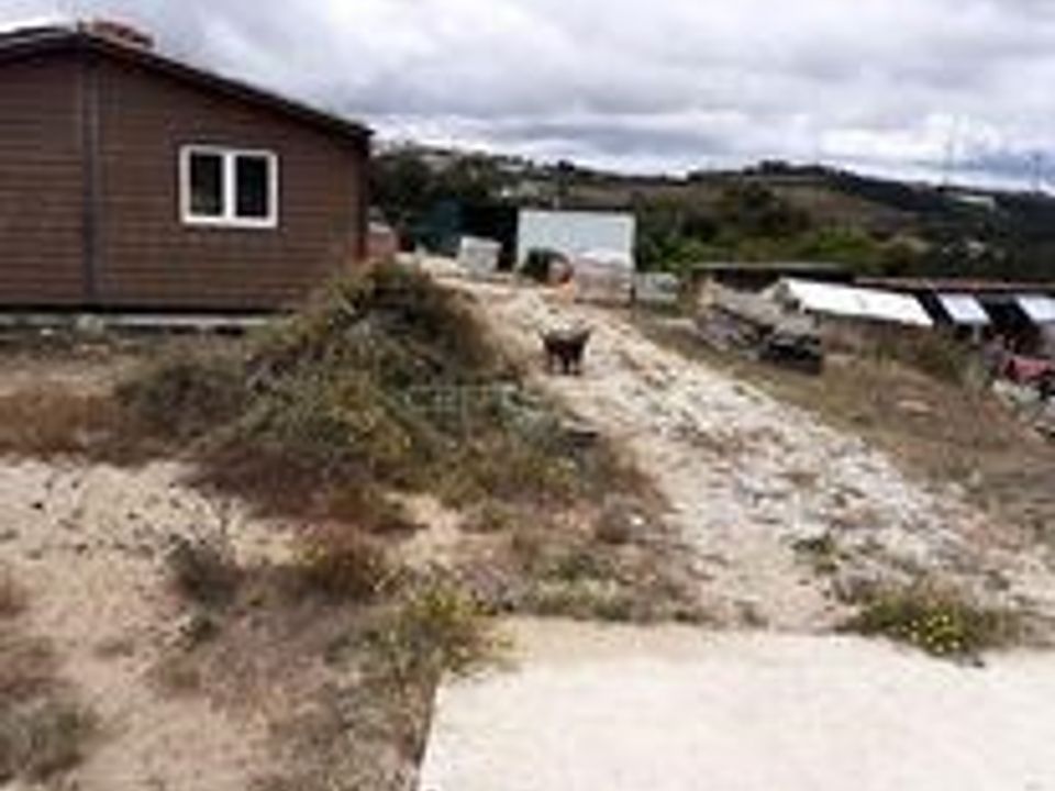 Helårsgrund i Sobral de Monte Agraco, Lisbon - foto 5