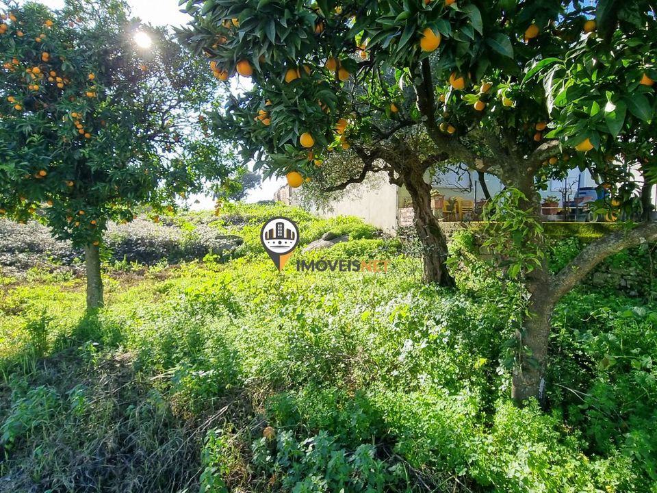 Helårsgrund i Castelo Branco, Castelo Branco - foto 2