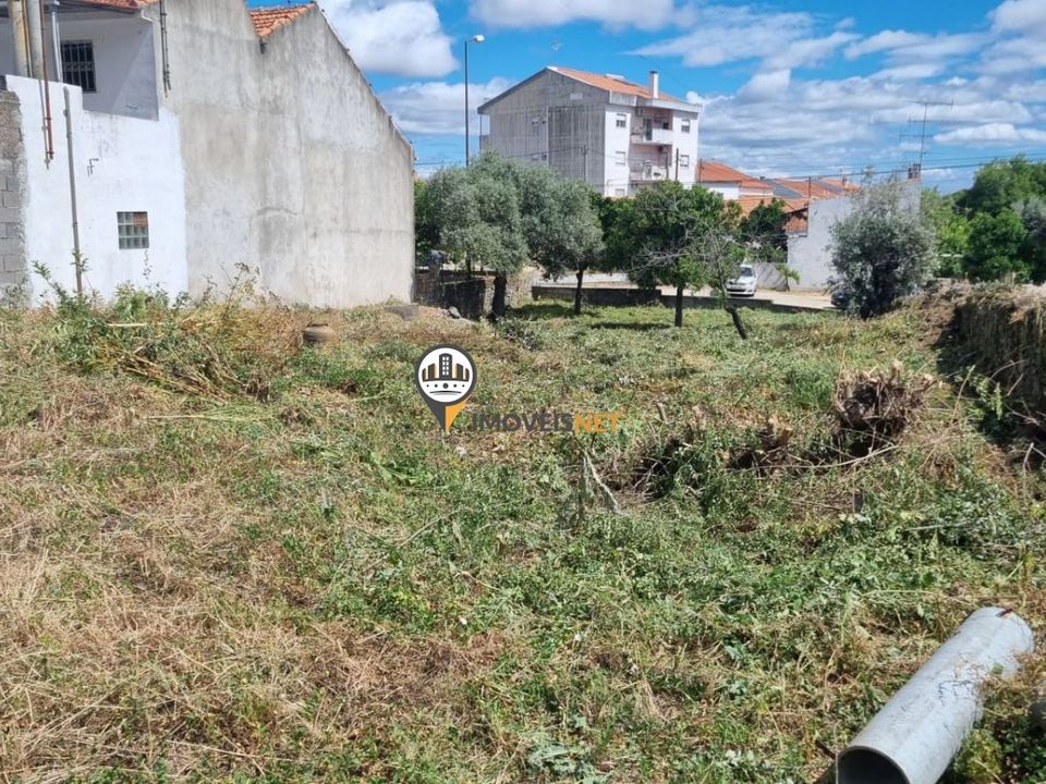 Helårsgrund i Castelo Branco, Castelo Branco - foto 5