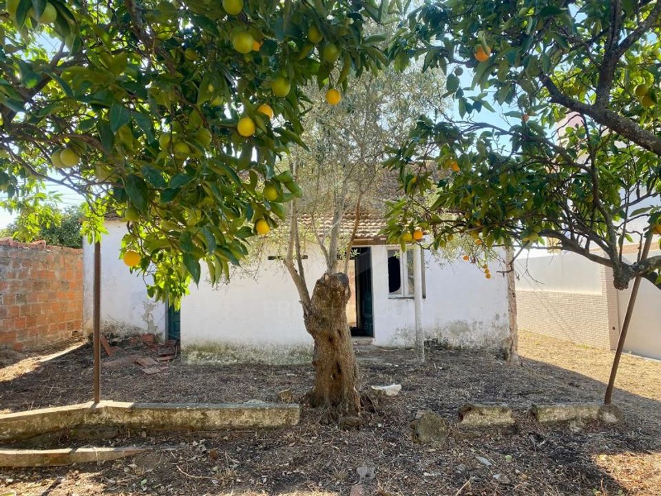 Terra a Quinta do Anjo, Setubal - foto 2