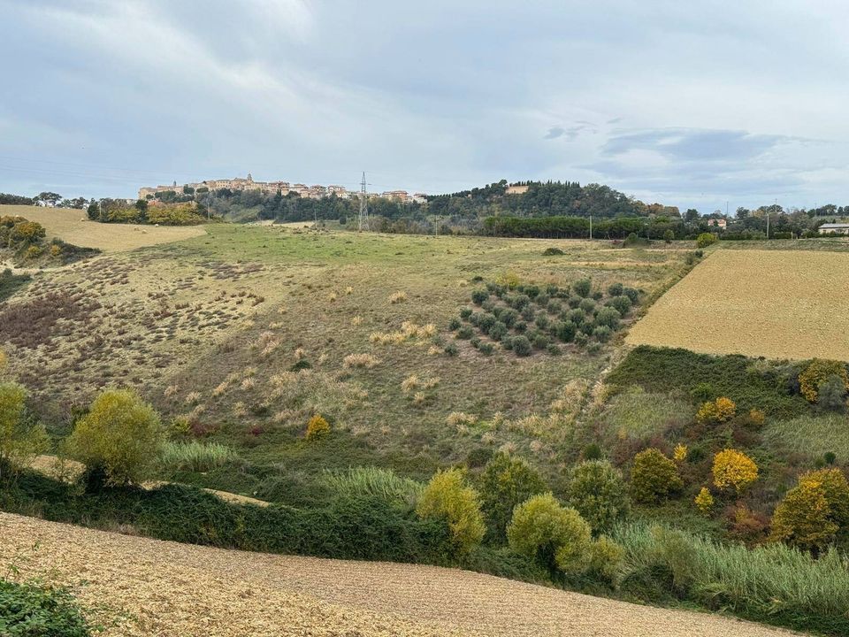 Terreno en Altidona, Fermo - foto 1