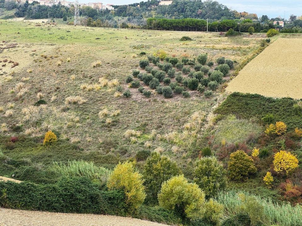 Terreno en Altidona, Fermo - foto 2