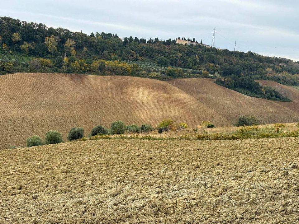 Terreno en Altidona, Fermo - foto 3