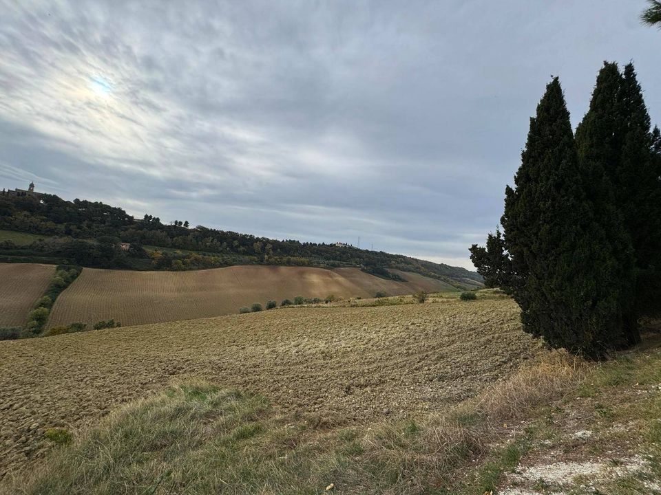Terreno en Altidona, Fermo - foto 4