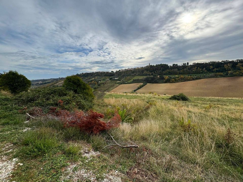 Terreno en Altidona, Fermo - foto 5