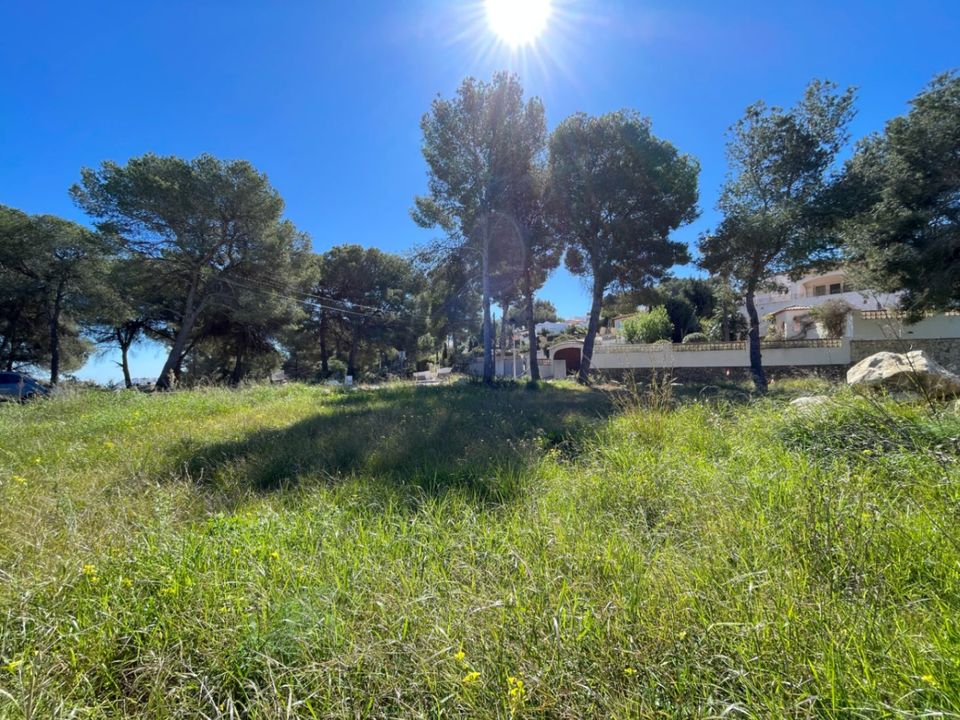 Helårsgrund i Teulada, Alicante - foto 4