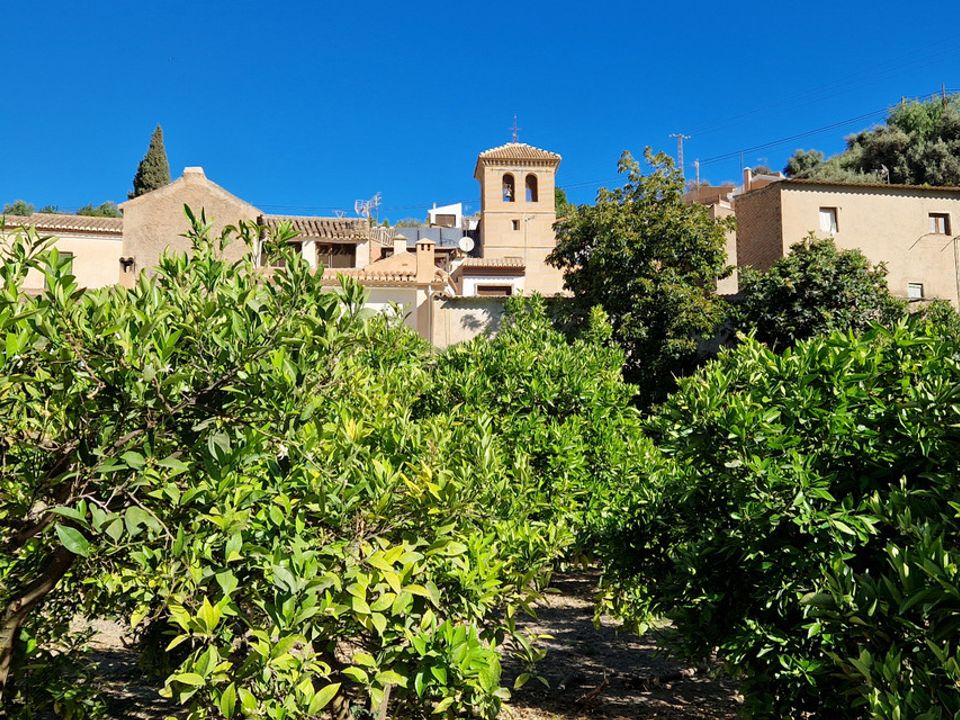 Helårsgrund i Saleres, Granada - foto 4