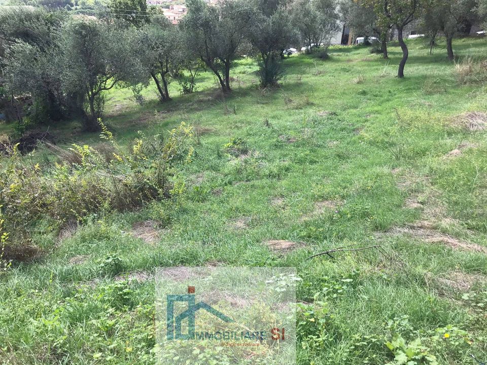 Tomt i Cautano, Benevento - bilde 3