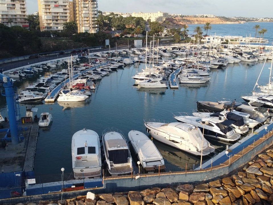 Helårsgrund i Orihuela, Alicante - foto 5