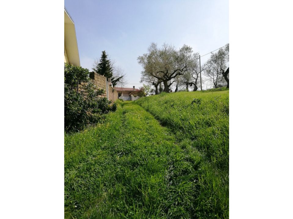 Terra a Pianella, Pescara - foto 3