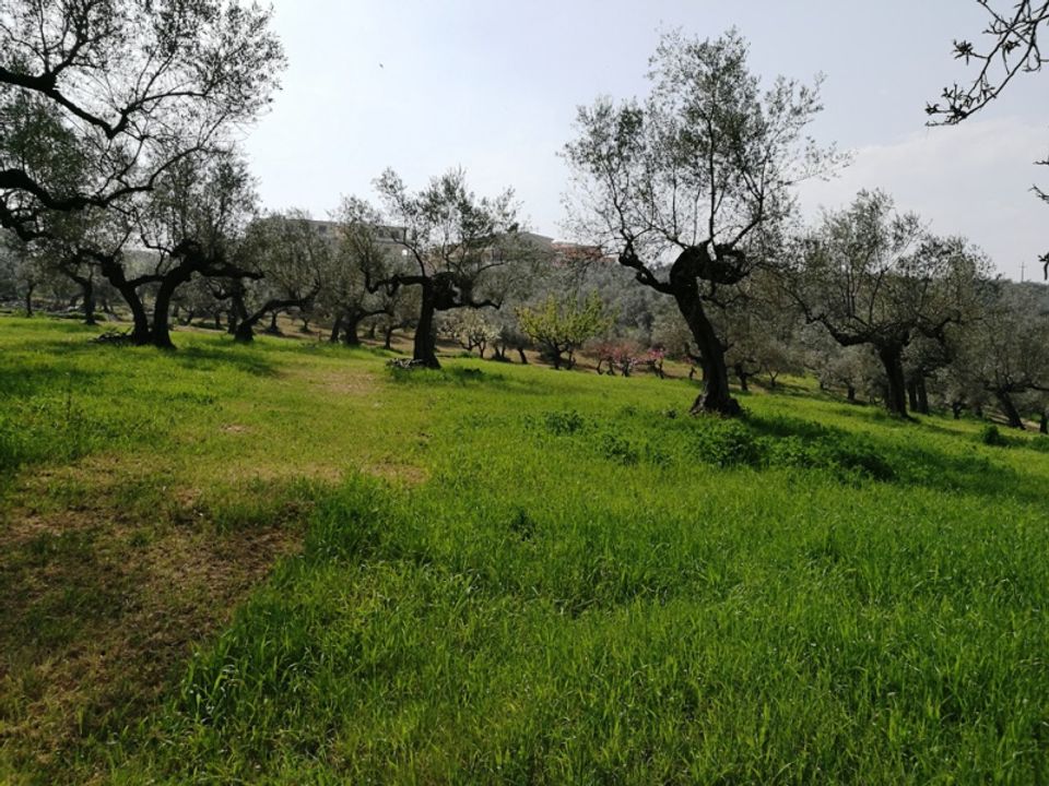 Terra a Pianella, Pescara - foto 4