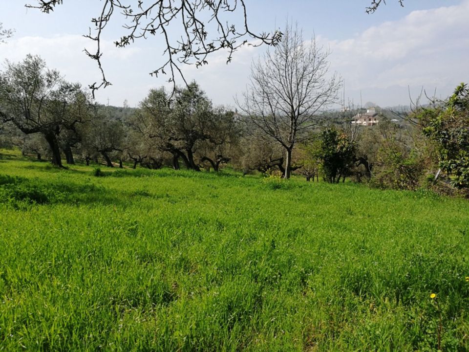 Terra a Pianella, Pescara - foto 5
