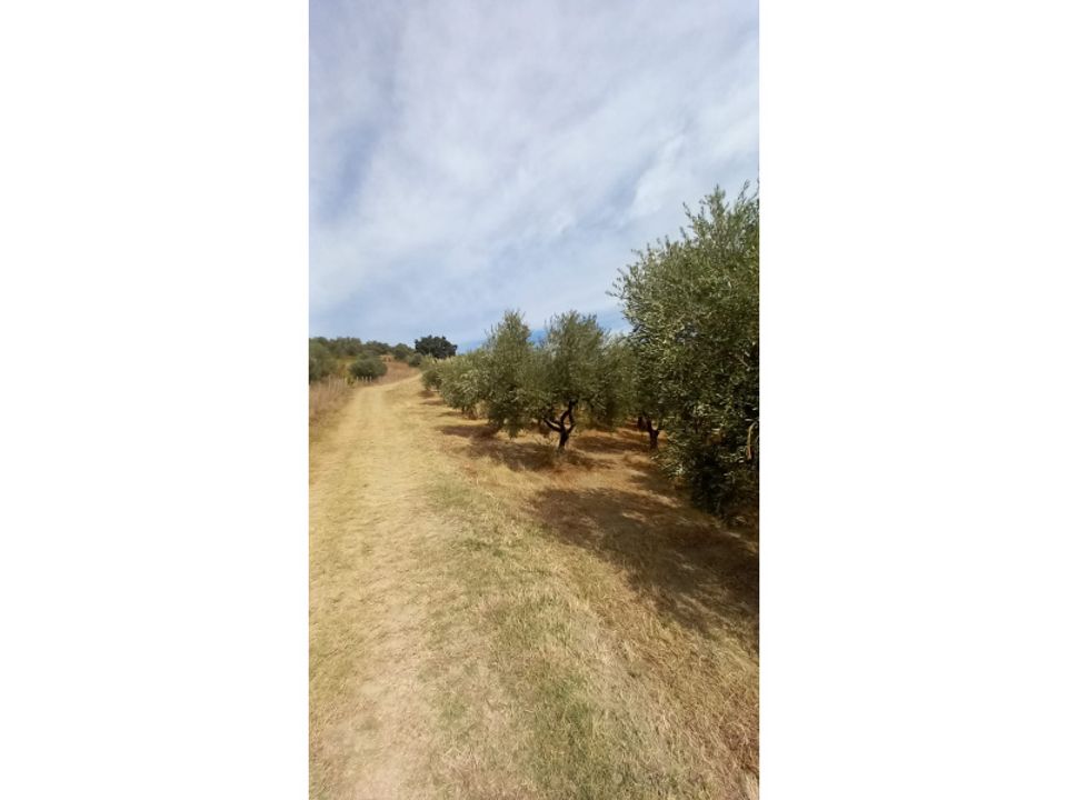 Terra em Alanno, Pescara - foto 2