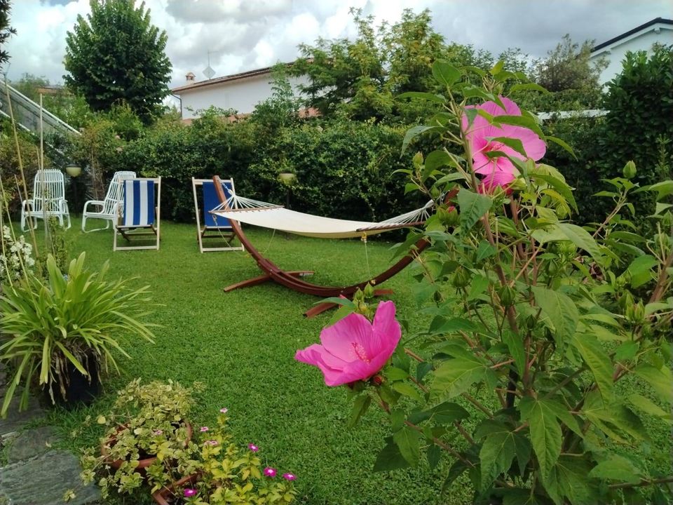 Villa i Forte dei Marmi, Lucca - foto 4