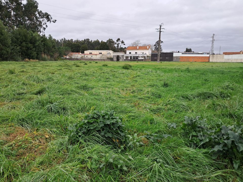 Helårsgrund i Ovar, Aveiro - foto 3
