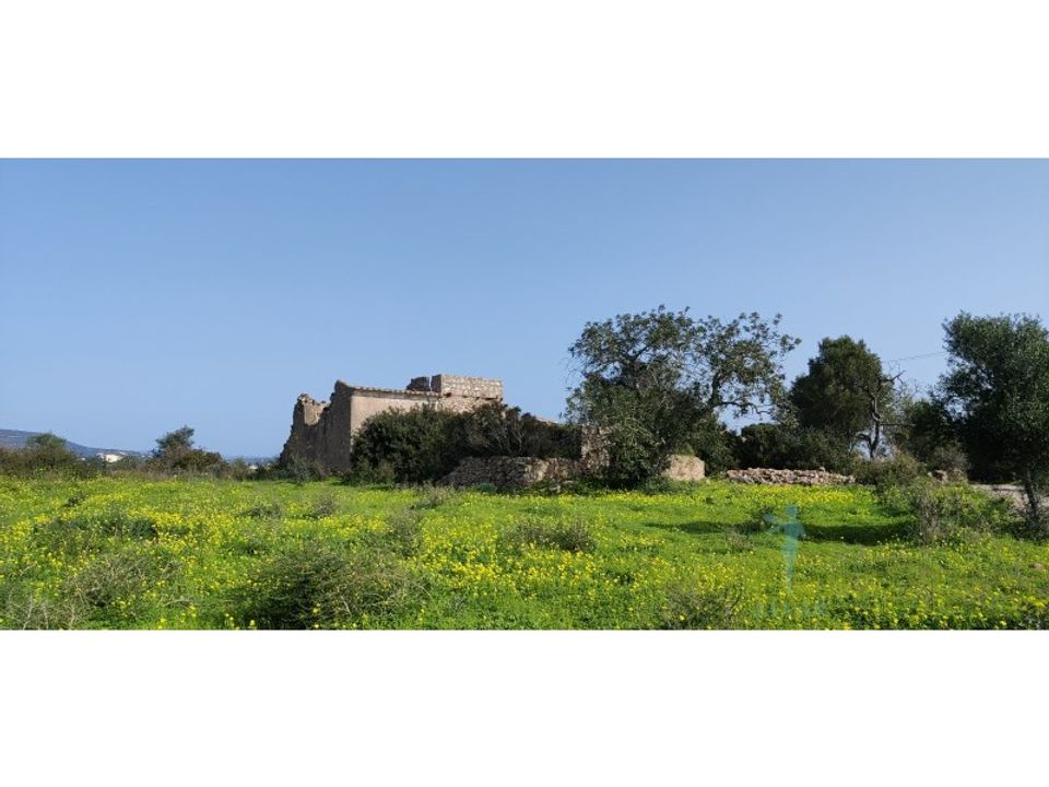 Farm i Quelfes, Faro - foto 3