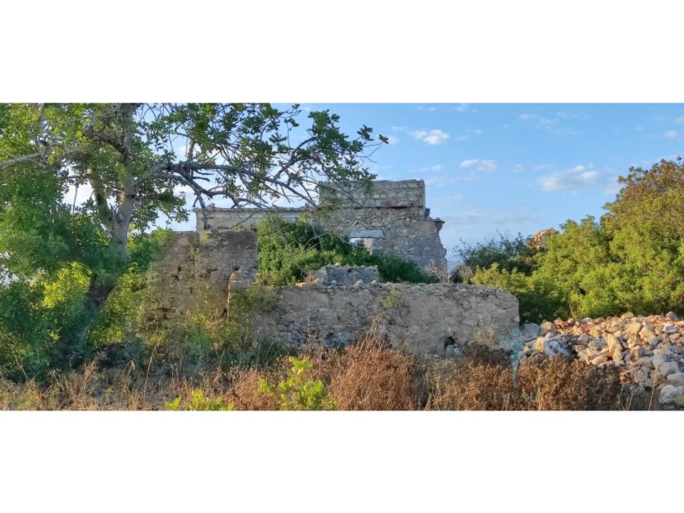 Farm i Quelfes, Faro - foto 5