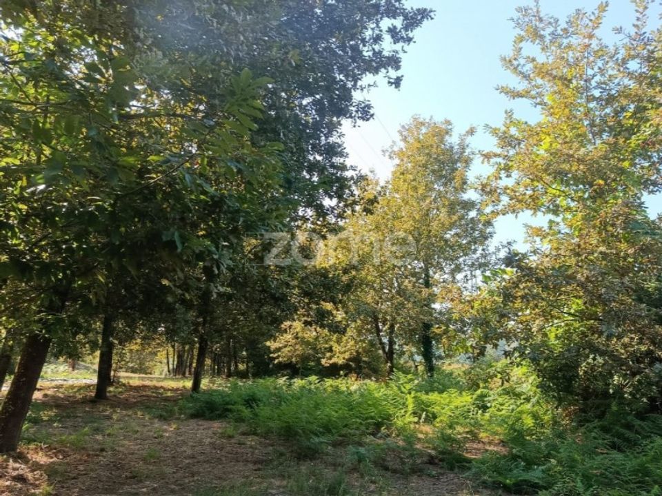 Helårsgrund i Vila Verde, Braga - foto 4