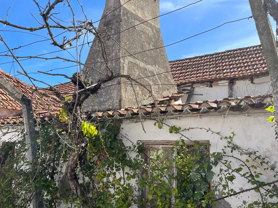 Helårsgrund i Alcanhoes, Santarem - foto 5