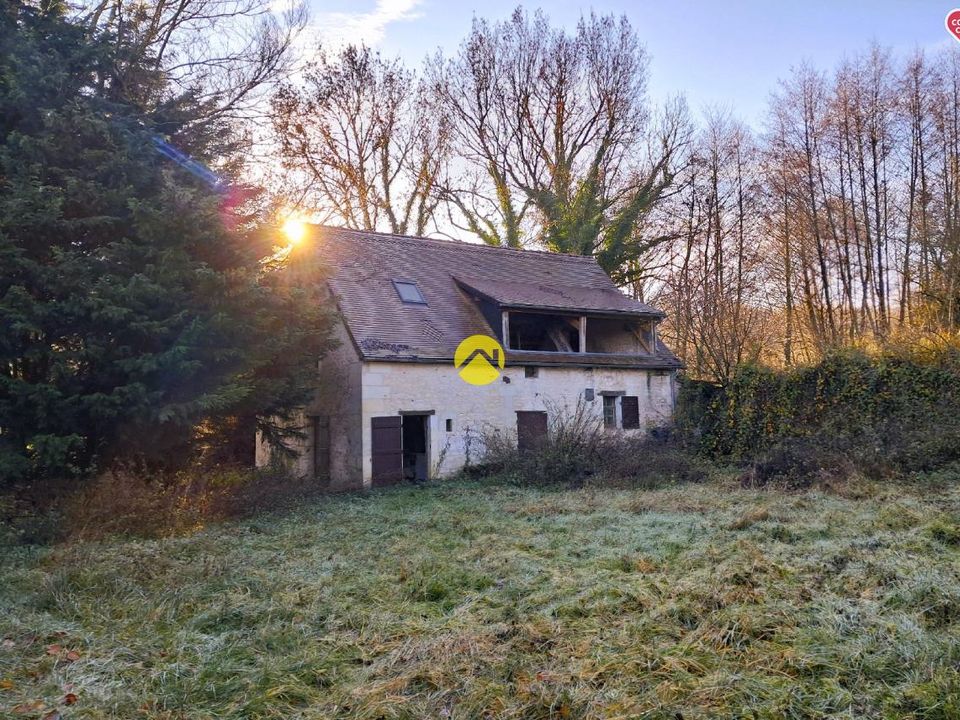 Landejendom i Lucay-le-Male, Indre - foto 3