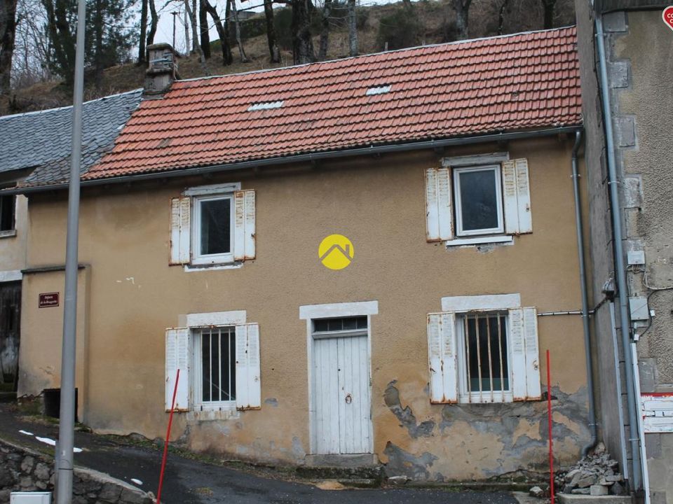 Villa i Saint-Jacques-des-Blats, Cantal - foto 1