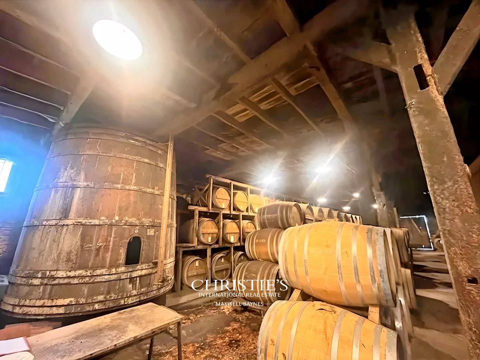 Landejendom i Mauleon-D'Armagnac, Gers - foto 3