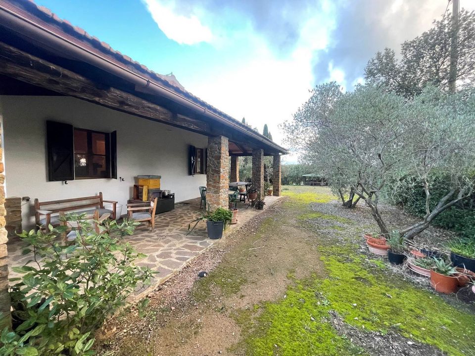 Farm hus i Scansano, Grosseto - foto 4