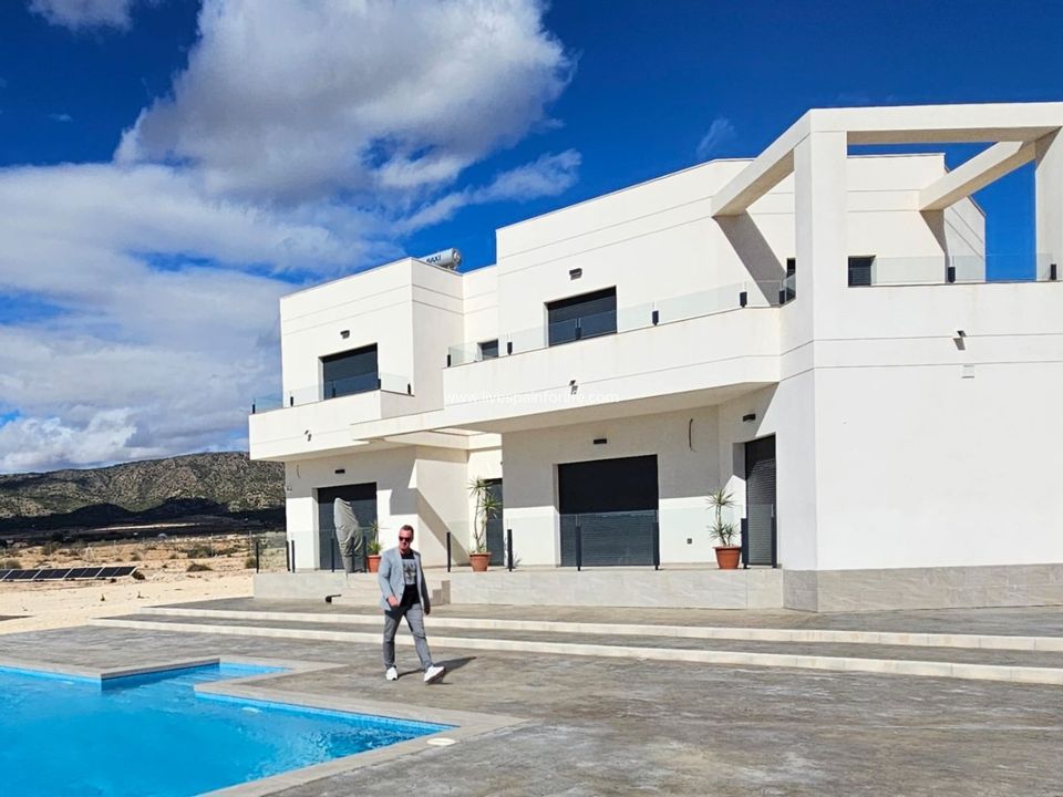 Landejendom i Pinoso, Alicante - foto 2