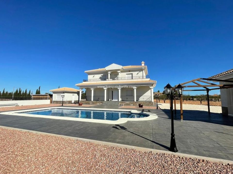 Landejendom i Pinoso, Alicante - foto 1