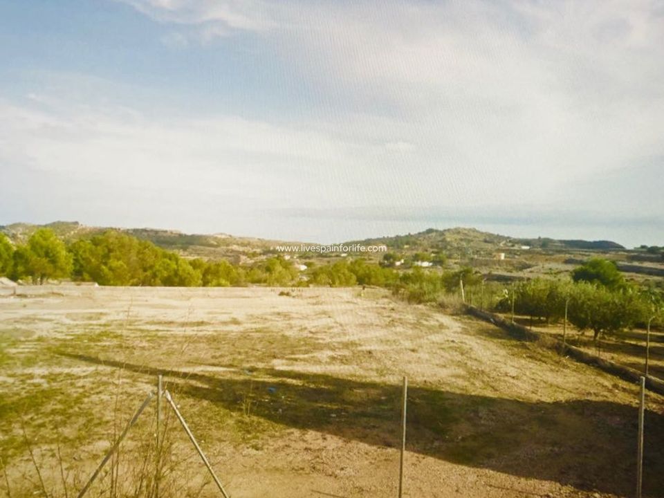 Helårsgrund i Aspe, Alicante - foto 5