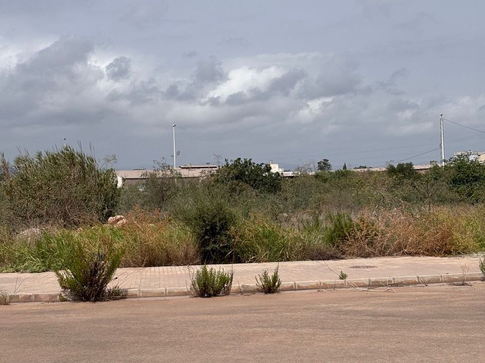 Helårsgrund i Sagunto, Valencia - foto 4